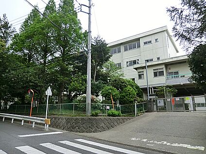 鎌倉市立山崎小学校 900ｍ