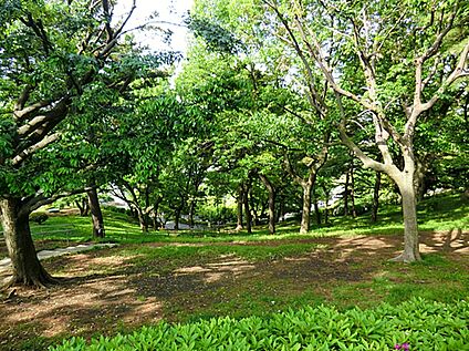 Fit　Care　DEPOT観音店 300ｍ