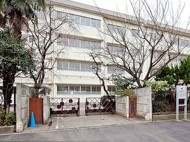 川崎市立川中島小学校（約230m）