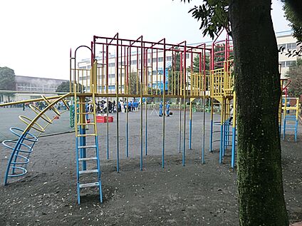 横浜市立大口台小学校 700ｍ