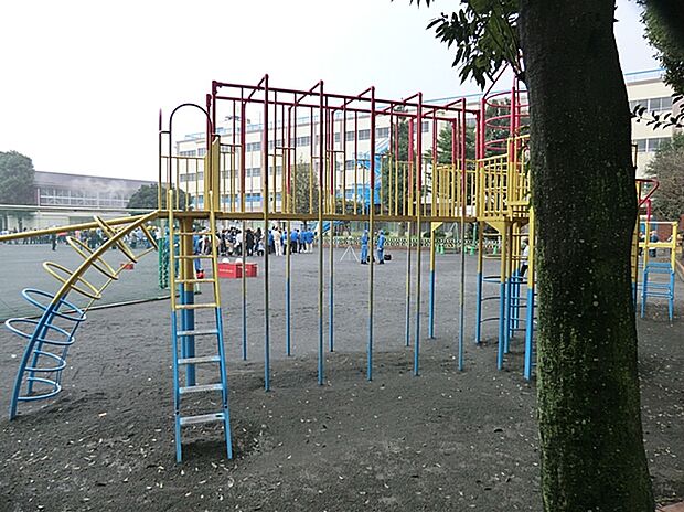 横浜市立大口台小学校(約700m)