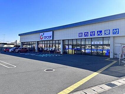カワチ薬品 城内店 約900m(徒歩12分)