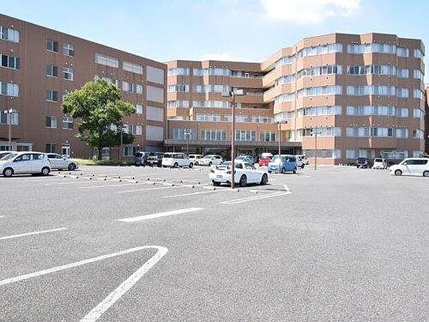 サンピエール病院