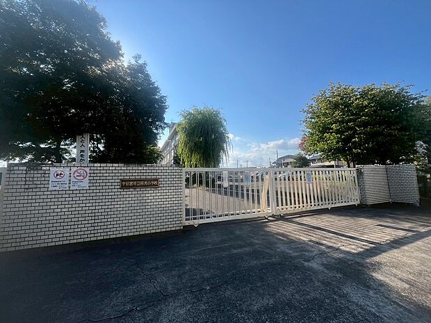 陽光小学校(約291m)