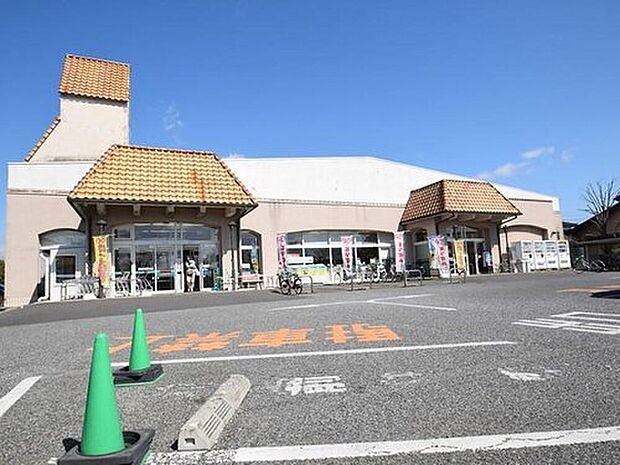 とりせん館林朝日町店