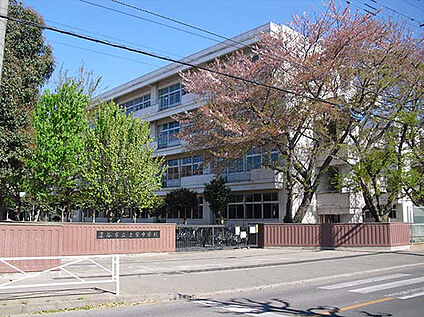 上柴中学校 約990m(徒歩13分)
