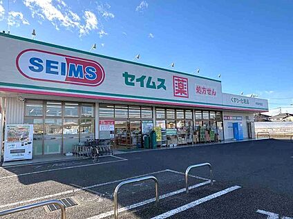 ドラッグセイムス伊奈内宿店 710m(徒歩9分)