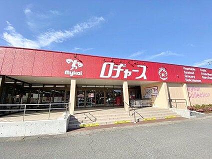 ロヂャース 加須店 約700ｍ～710m(徒歩約9分)