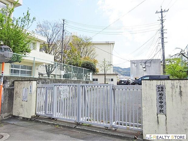 福岡市立柏原中学校（約400m）