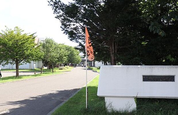恵庭小学校