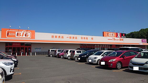 ザ・ビッグ栗祖春採SC店