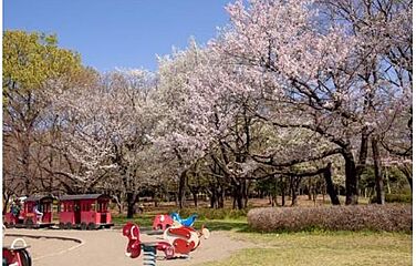 【飯田の分譲住宅】飯田グループホールディングス　グラファーレ 和光市南１丁目10期 その他