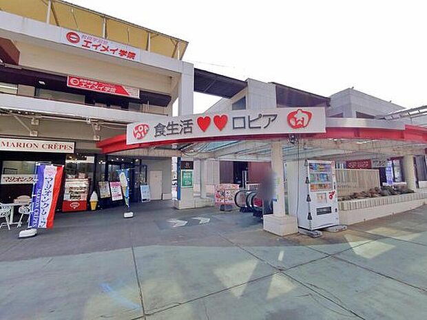 ロピアふじみ野店(約800m)
