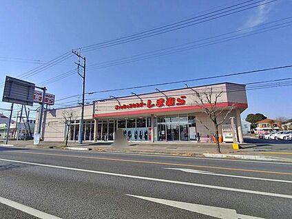 ファッションセンターしまむら大井店 730m (徒歩10分)