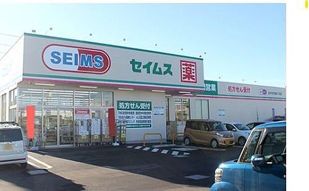 ドラッグセイムス志木中宗岡4丁目店（約1,270m）