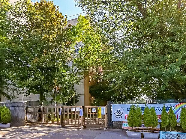 朝霞市立朝霞第六小学校(約640m)
