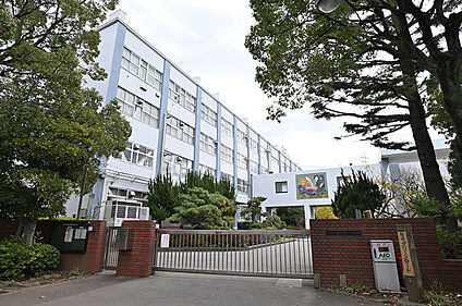 江戸川区立松江第一中学校 約640ｍ(徒歩8分)