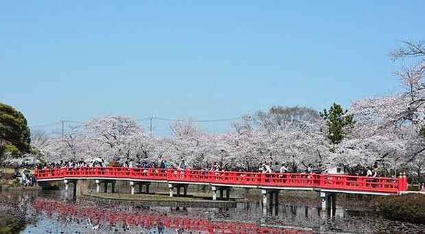岩槻城址公園（約1,306m）