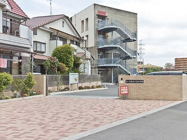 さいたま市立島小学校（約400m）