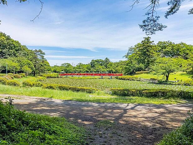 岩槻城址公園(約4,000m)