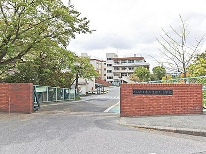 さいたま市立道祖土小学校 800m(徒歩10分)