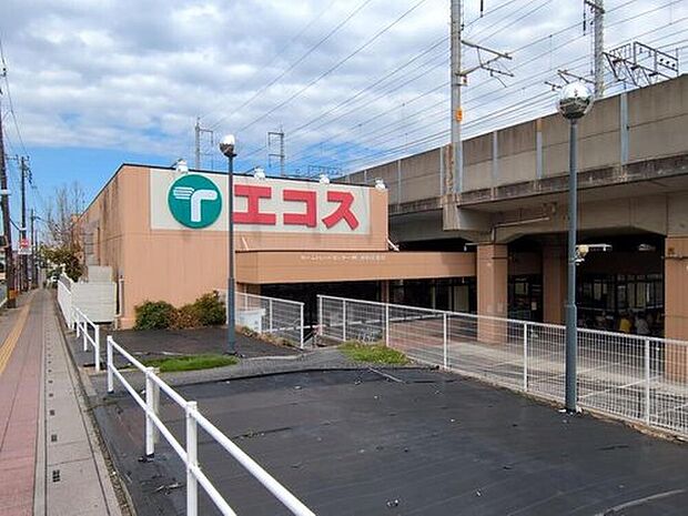 エコス与野鈴谷店（約240m）