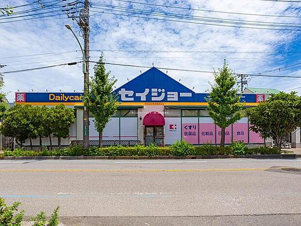 デイリーケアセイジョー芝塚原店（約650m）
