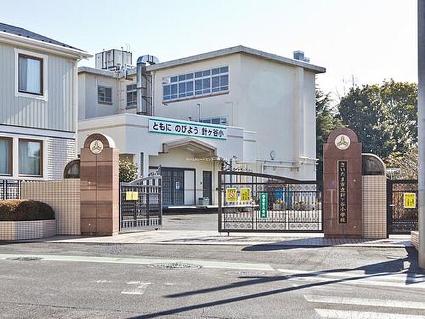 さいたま市立針ケ谷小学校（約450m）
