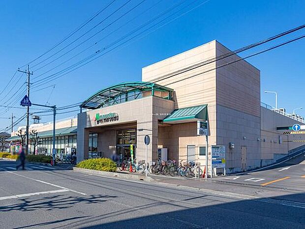 マルエツ大宮砂町店(約700m)