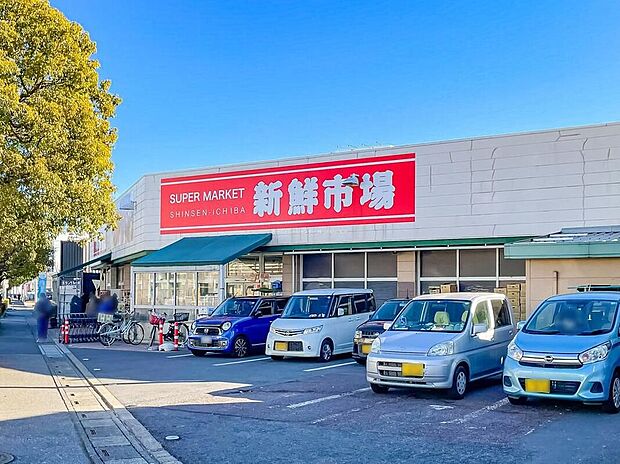 新鮮市場 江戸袋店(約190m)