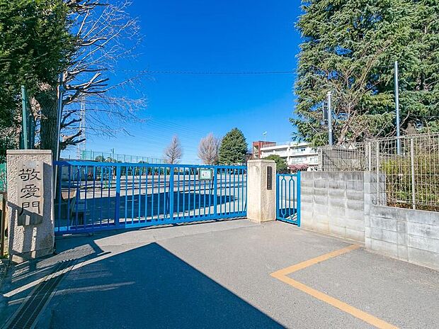 川口市立鳩ケ谷小学校(約220m)