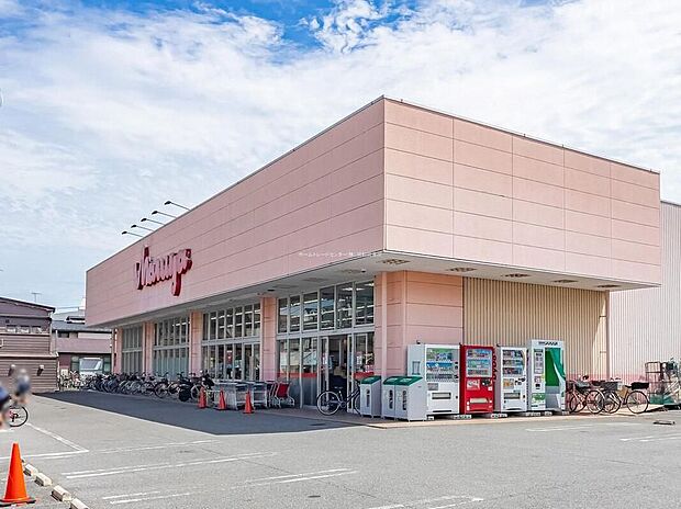 マルヤ豊春店（約600m）