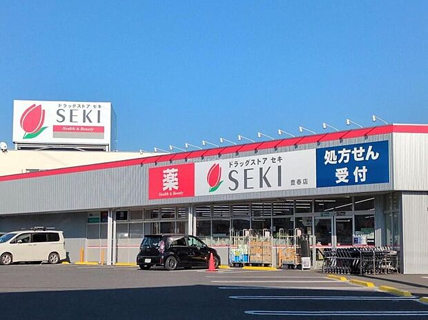 ドラッグストアセキ豊春店（約350m）