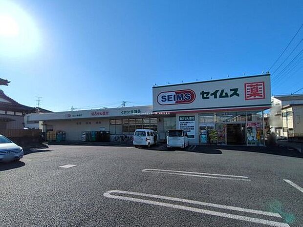 ドラッグセイムス川口天神橋店(約550m)