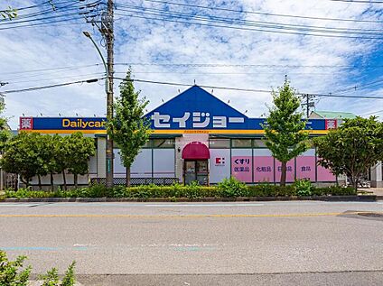 デイリーケアセイジョー芝塚原店 900m(徒歩12分)