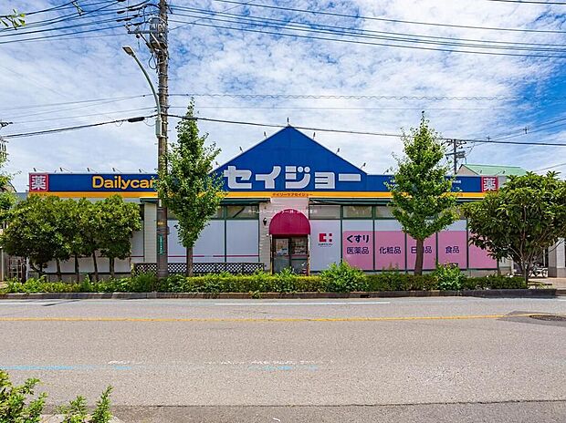 デイリーケアセイジョー芝塚原店（約900m）