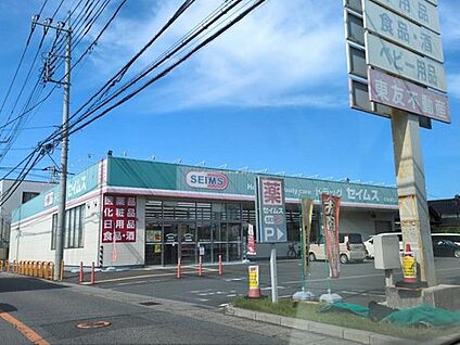 ドラッグセイムス 豊春東口店 1100ｍ(徒歩14分/車3分)