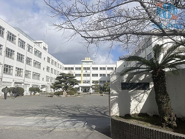 高槻市立第十中学校(約495m)