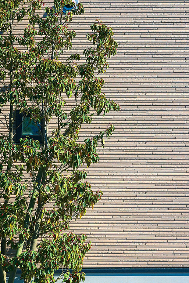 【【植栽計画】】シンボルツリーとなる高木や中低木、足元を彩る下草など多種多様な植栽を採用。自然素材の外壁やエクステリアと美しく調和し、開発道路沿いに配植することで豊かな風景を創ります。