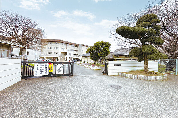 川越市立野田中学校(現地より徒歩8分)
