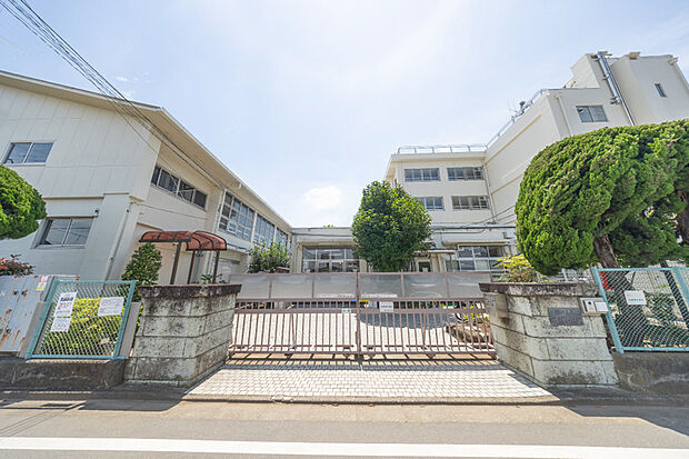 練馬区立泉新小学校(現地より徒歩2分)