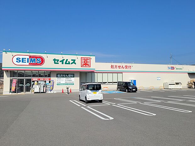 ドラッグセイムス海南名高店