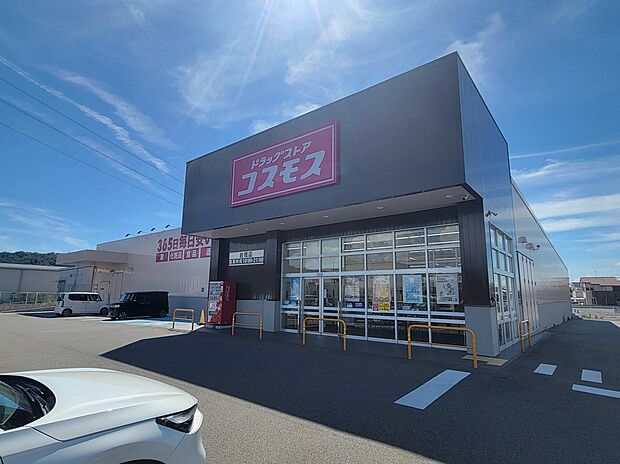 ドラッグコスモス岩橋店