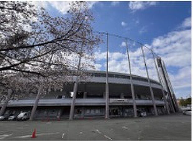 パロマ瑞穂スポーツ公園(瑞穂公園)(約200m)