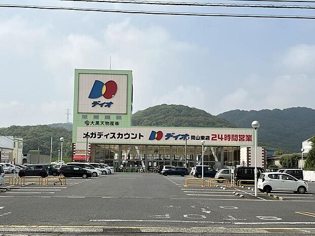 ディオ 岡山東店(約750m)