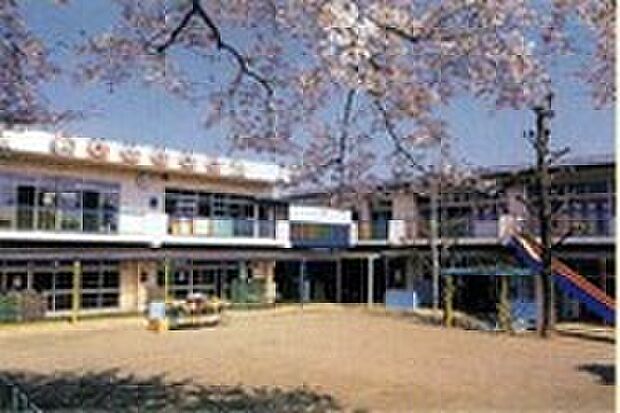 せいしん幼稚園