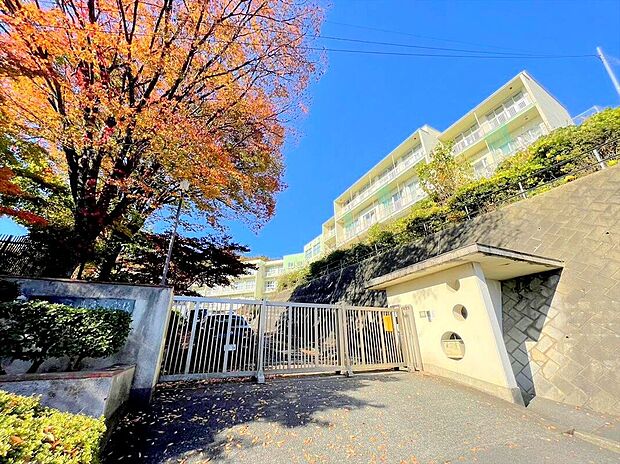 小宮小学校