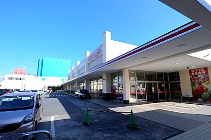 Olympic小金井店 約233ｍ