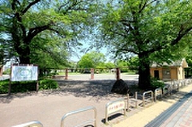 上砂公園