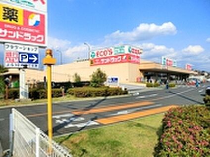 エコスTAIRAYA中神店 約909m